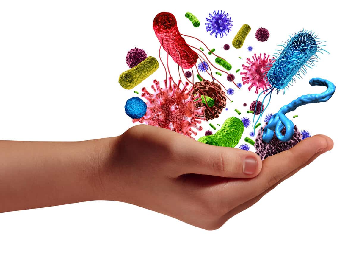 Health and disease risk medical health care concept with a human hand holding microscopic cancer virus and bacteria cells as a metaphor for pathogen